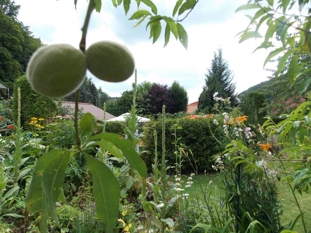 Landhotel Fasanenhof Eschwege Bagian luar foto