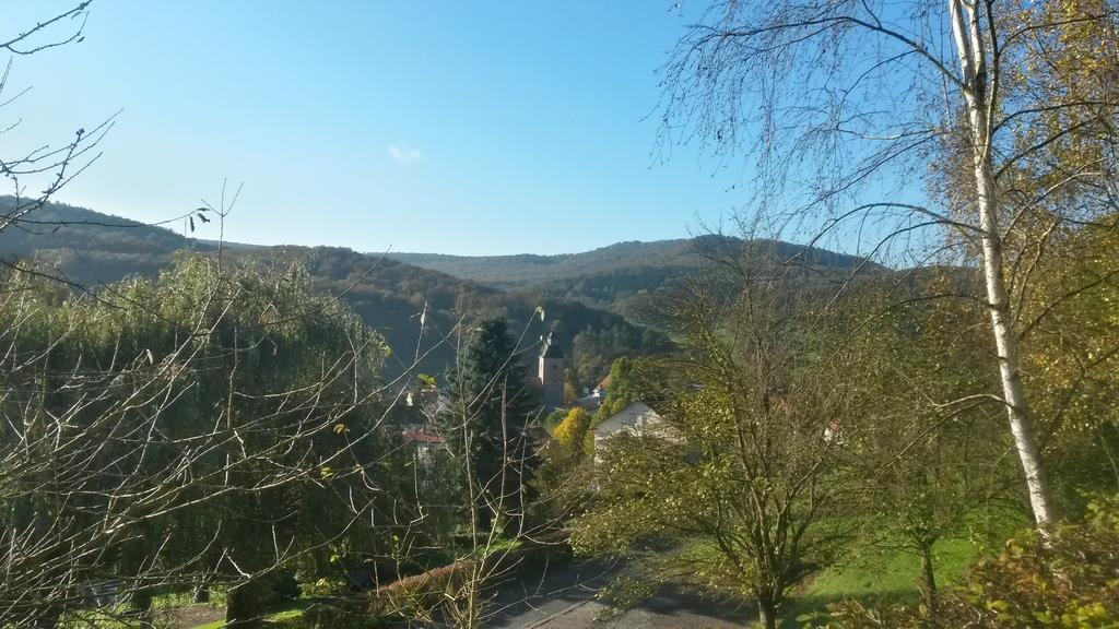 Landhotel Fasanenhof Eschwege Bagian luar foto
