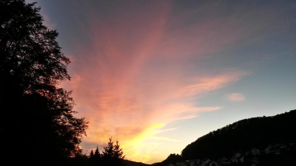 Landhotel Fasanenhof Eschwege Bagian luar foto
